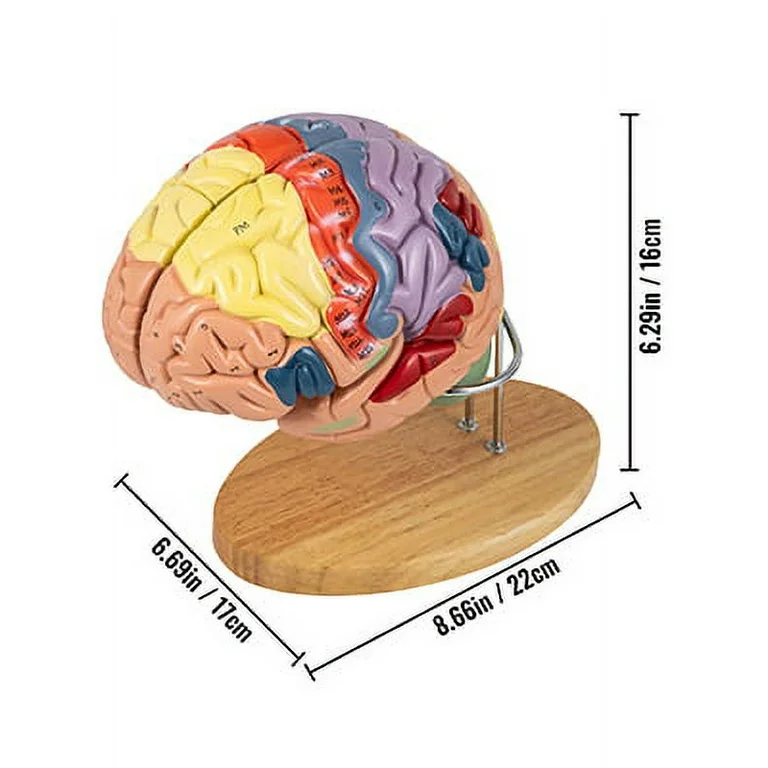 what helps with brain fog