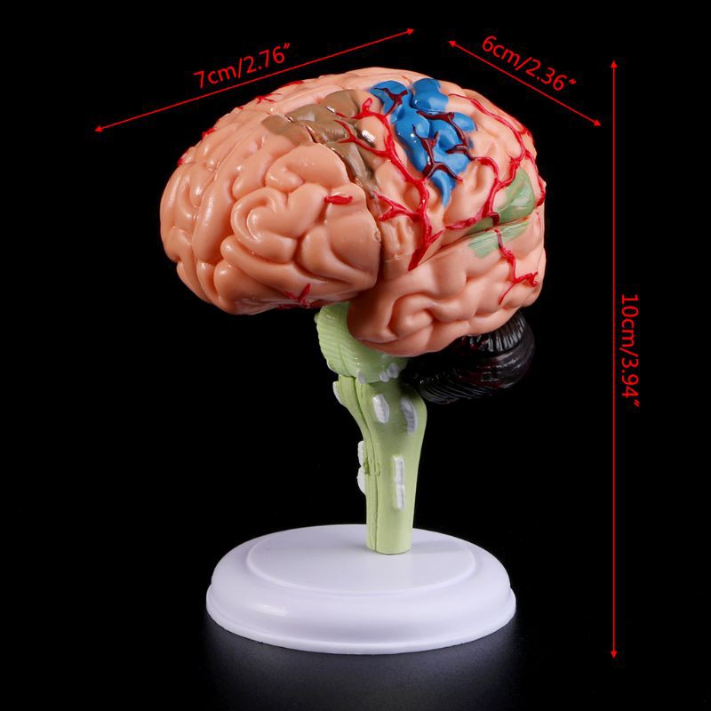 vitamins to help with brain fog