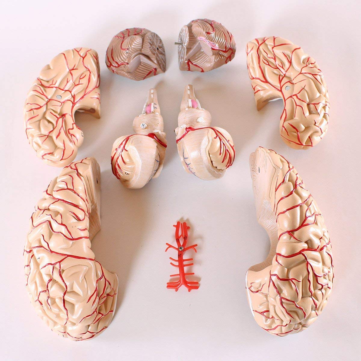 vitamin d deficiency brain fog