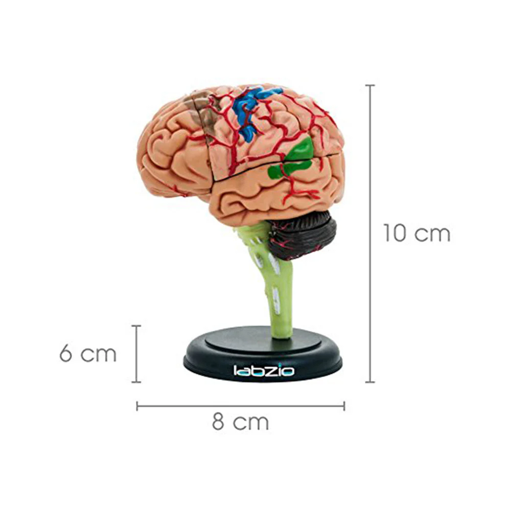 chronic brain fog